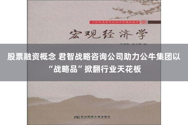 股票融资概念 君智战略咨询公司助力公牛集团以“战略品”掀翻行业天花板