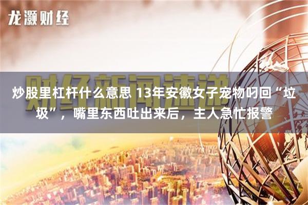 炒股里杠杆什么意思 13年安徽女子宠物叼回“垃圾”，嘴里东西吐出来后，主人急忙报警