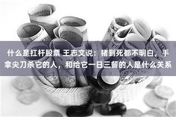 什么是扛杆股票 王志文说：猪到死都不明白，手拿尖刀杀它的人，和给它一日三餐的人是什么关系