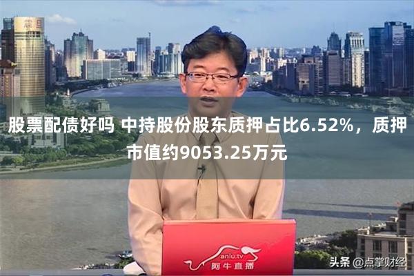 股票配债好吗 中持股份股东质押占比6.52%，质押市值约9053.25万元