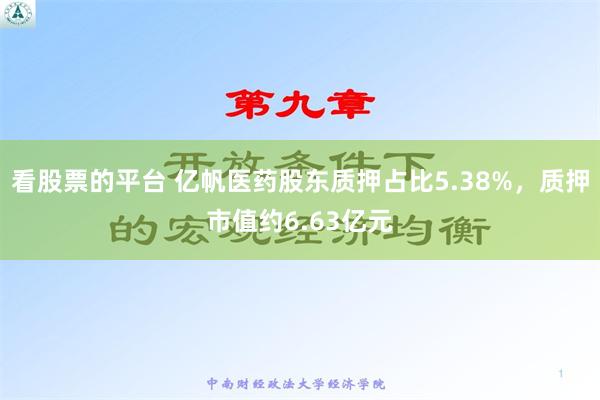 看股票的平台 亿帆医药股东质押占比5.38%，质押市值约6.63亿元