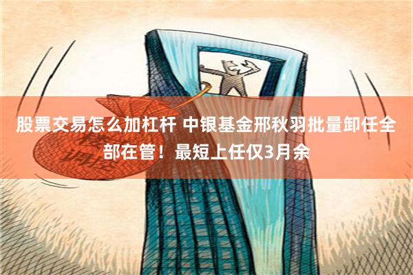 股票交易怎么加杠杆 中银基金邢秋羽批量卸任全部在管！最短上任仅3月余