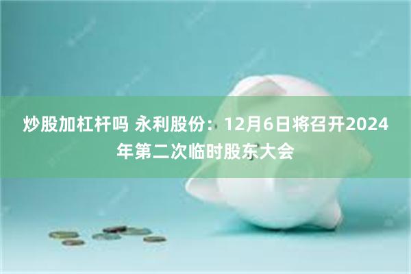 炒股加杠杆吗 永利股份：12月6日将召开2024年第二次临时股东大会
