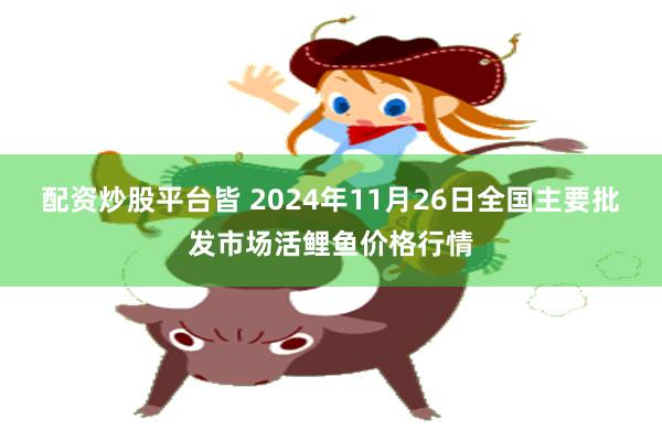 配资炒股平台皆 2024年11月26日全国主要批发市场活鲤鱼价格行情