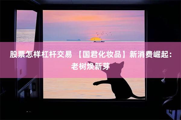 股票怎样杠杆交易 【国君化妆品】新消费崛起：老树焕新芽