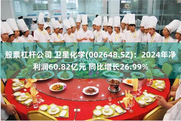 股票杠杆公司 卫星化学(002648.SZ)：2024年净利润60.82亿元 同比增长26.99%