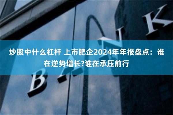 炒股中什么杠杆 上市肥企2024年年报盘点：谁在逆势增长?谁在承压前行