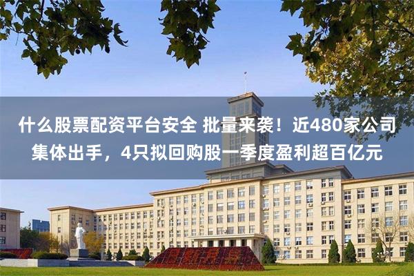 什么股票配资平台安全 批量来袭！近480家公司集体出手，4只拟回购股一季度盈利超百亿元