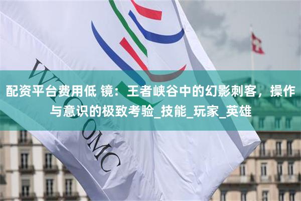 配资平台费用低 镜：王者峡谷中的幻影刺客，操作与意识的极致考验_技能_玩家_英雄