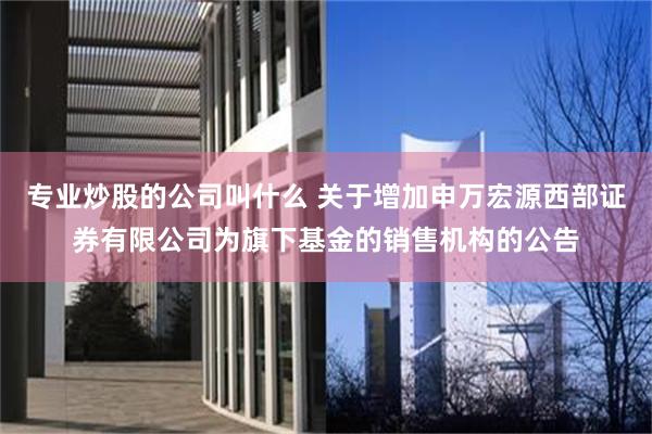 专业炒股的公司叫什么 关于增加申万宏源西部证券有限公司为旗下基金的销售机构的公告