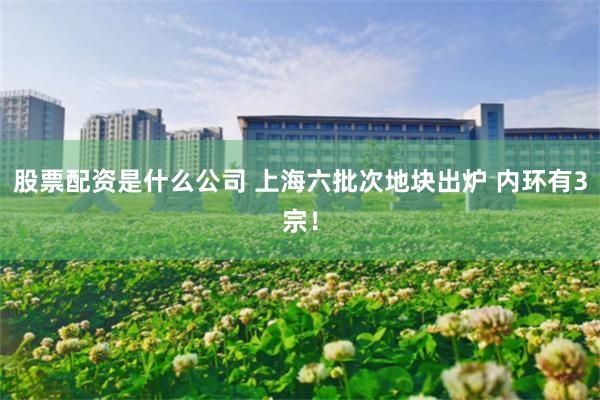 股票配资是什么公司 上海六批次地块出炉 内环有3宗！