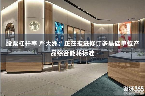股票杠杆率 严大洲：正在推进修订多晶硅单位产品综合能耗标准