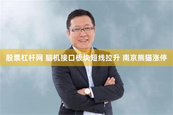 股票杠杆网 脑机接口板块短线拉升 南京熊猫涨停