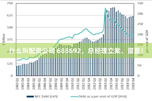 什么叫配资公司 688692，总经理立案、留置！